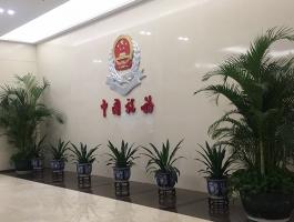 国家税务总局广东省税务局