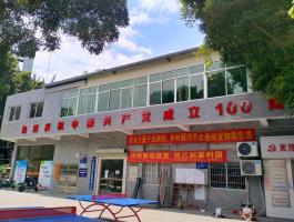 天河南街道庆祝共产党成立100周年烤漆字