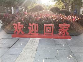 欢迎回家
