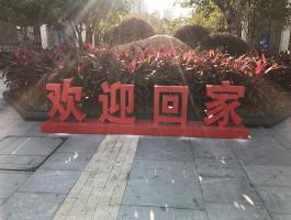 欢迎回家