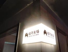 瑞可龙猫