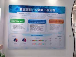 合嘉医疗