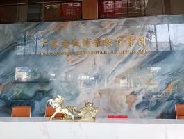 广东君诚博雅教育集团