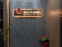 出国顾问